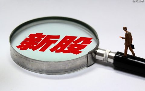 期货品种杠杆排名